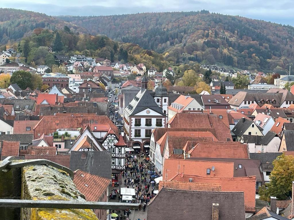 Ferienwohnung Im Springerhof Lohr am Main ภายนอก รูปภาพ