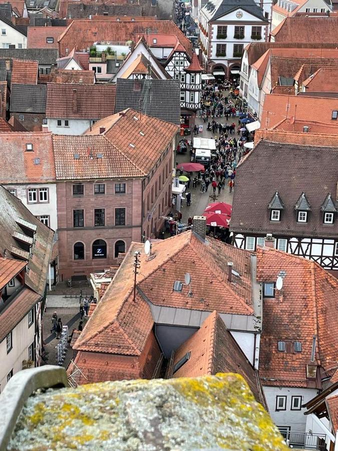 Ferienwohnung Im Springerhof Lohr am Main ภายนอก รูปภาพ